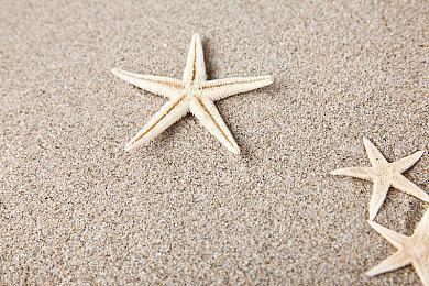 《最后纪元》总监：《深海迷航2》的情况不会发生在我们头上